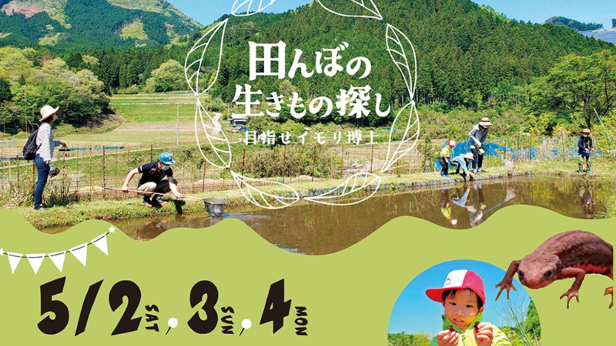 【愛媛・久万高原】田んぼの生きもの探し～目指せイモリ博士～